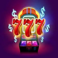 dream11